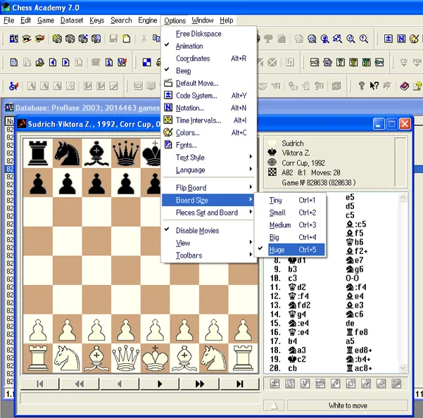 Program options 19 board size options menu
