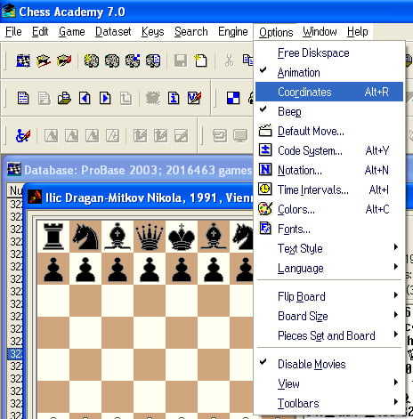 coordinates options menu