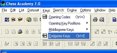 Keys in Chess Academy database program 36 endgame keys