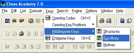 Keys in Chess Academy database program 28 middlegame keys sacrifices