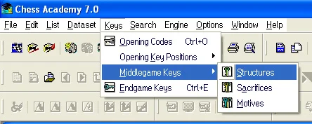 Keys in Chess Academy database program 25 middlegame keys structures