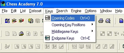 Keys in Chess Academy database program 14 opening codes keys