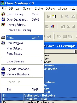 Print settings 3 print examples menu